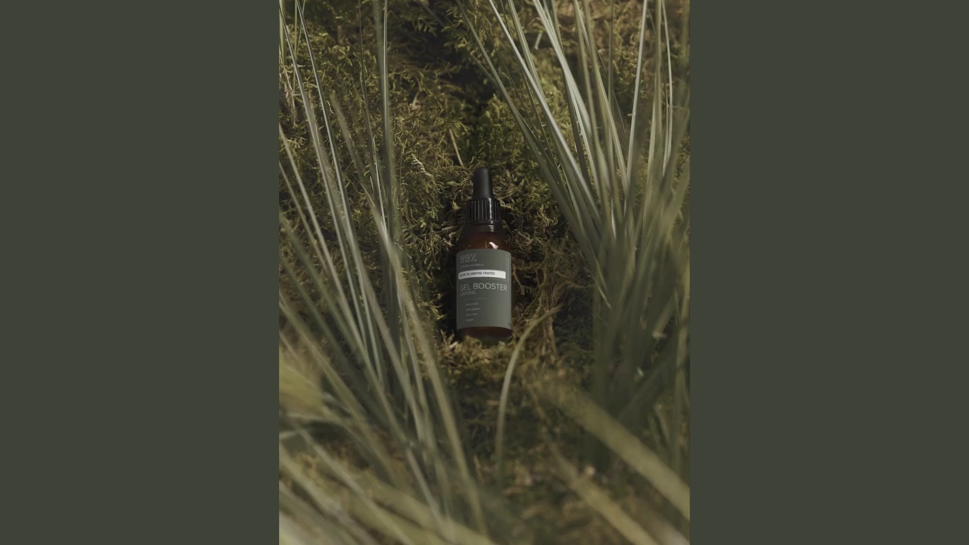 Charger la vidéo : 